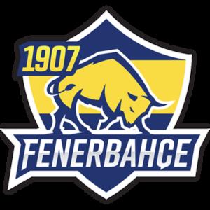 Fenerbahce球队图片