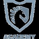 TL Academy