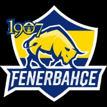 Fenerbahce Academy
