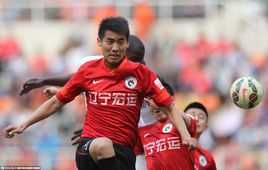  张野(Zhang Ye)