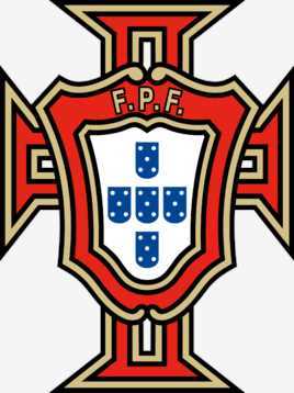 鲁伊.帕特里西奥(Rui Pedro dos Santos Patricio)