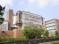 冈崎慎司